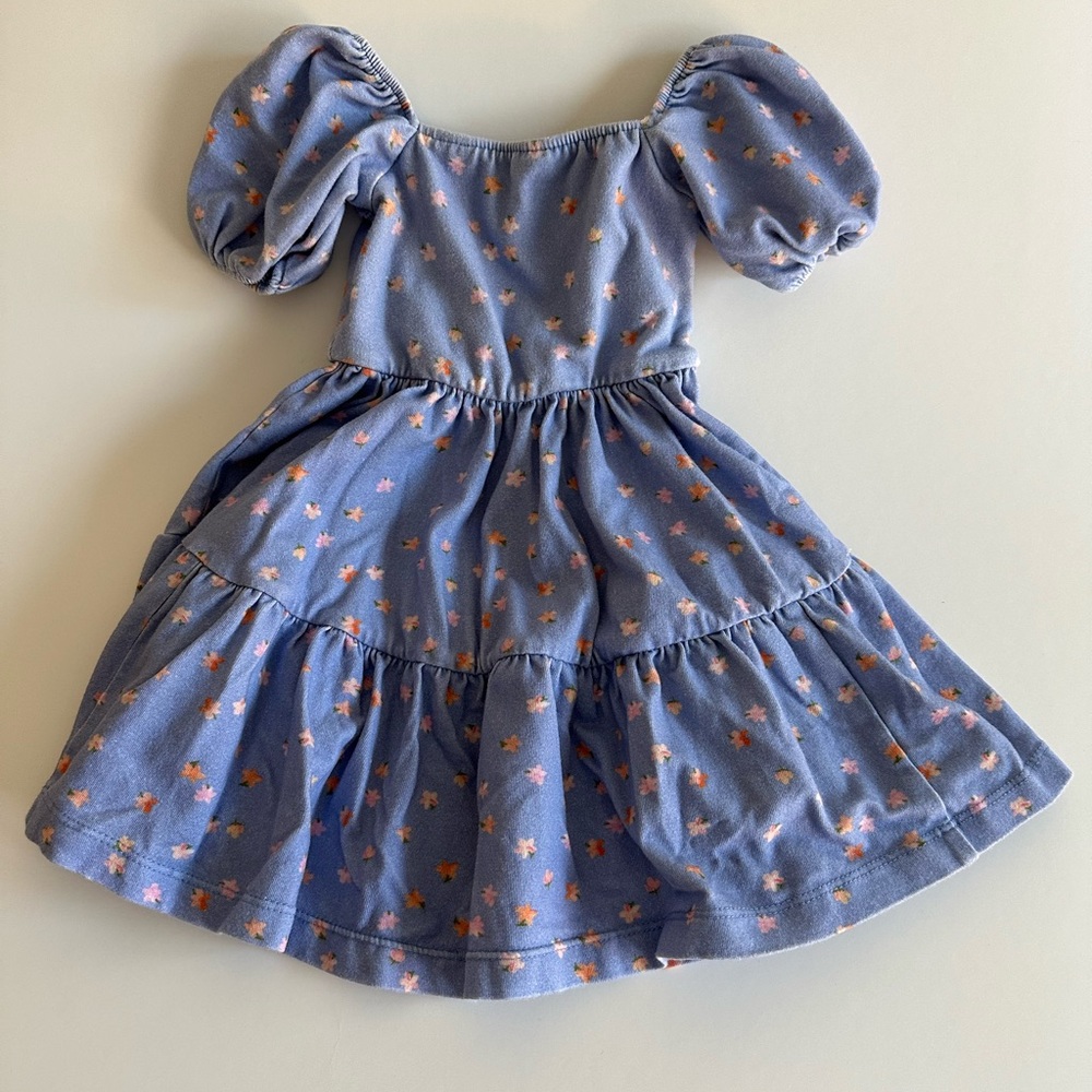 Alice + Ames THE JULIET DRESS IN BLUE ANEE FLORAL.